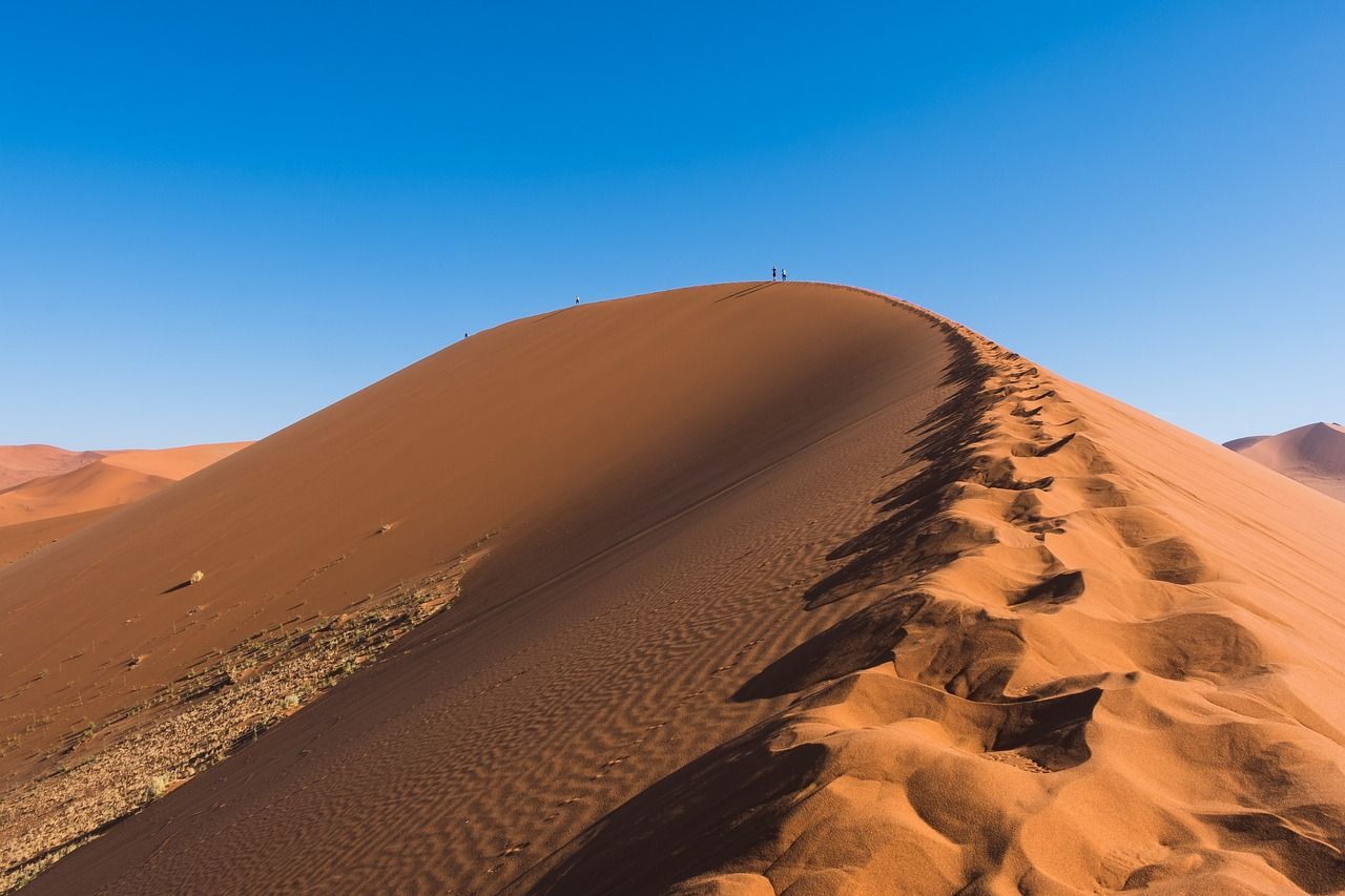 découvrez comment la transition climatique transforme notre monde, en abordant les enjeux environnementaux, les solutions durables et les actions à mener pour un avenir plus écologique.