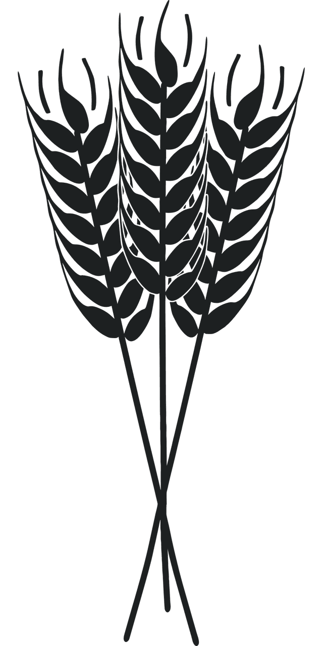 découvrez les pratiques d'agriculture durable favorisant la préservation de l'environnement, la biodiversité et une production alimentaire responsable pour les générations futures.