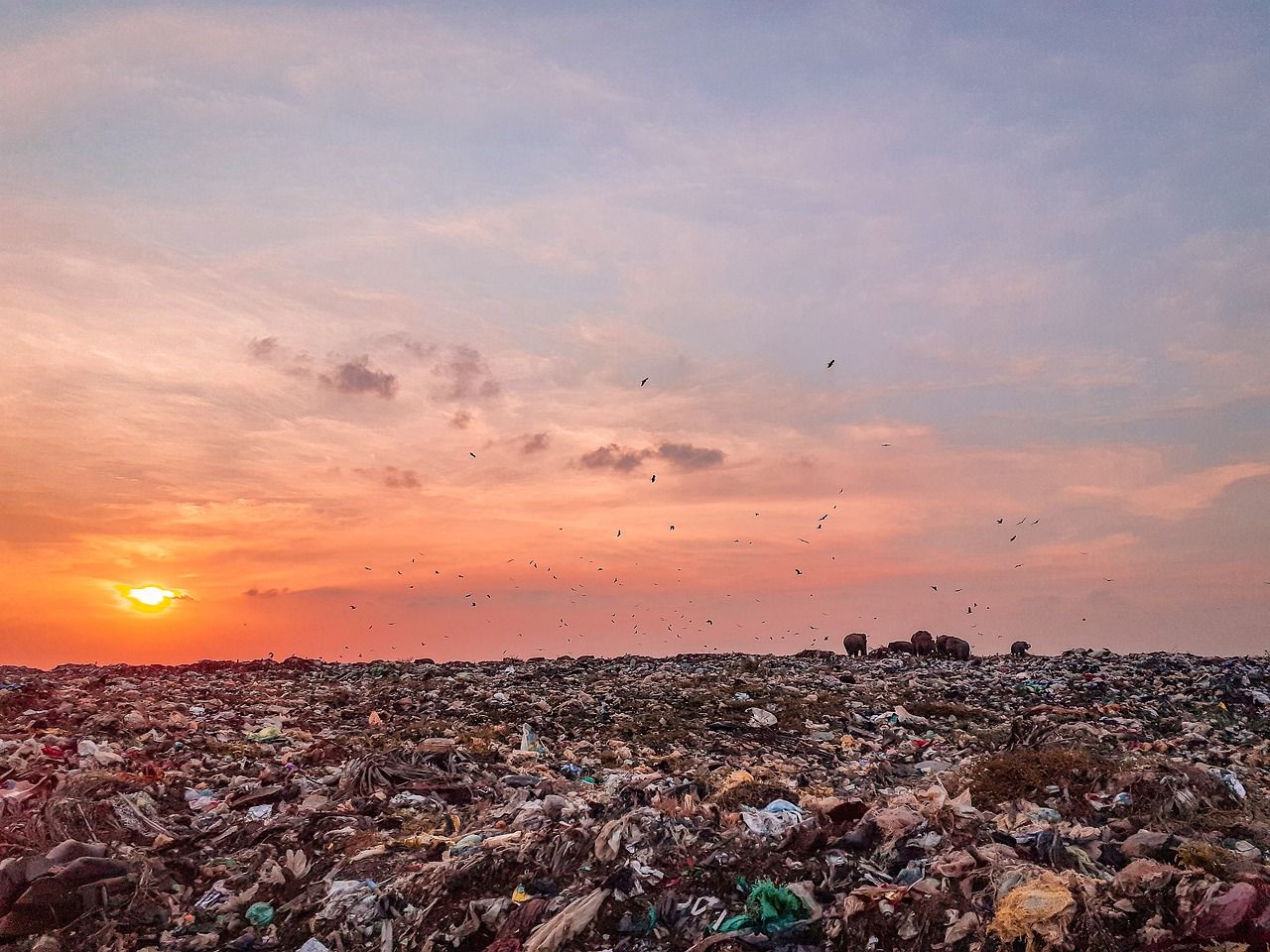 découvrez les impacts de la pollution sonore sur notre santé, l'environnement et notre qualité de vie. explorez des solutions pour atténuer le bruit et améliorer notre bien-être.