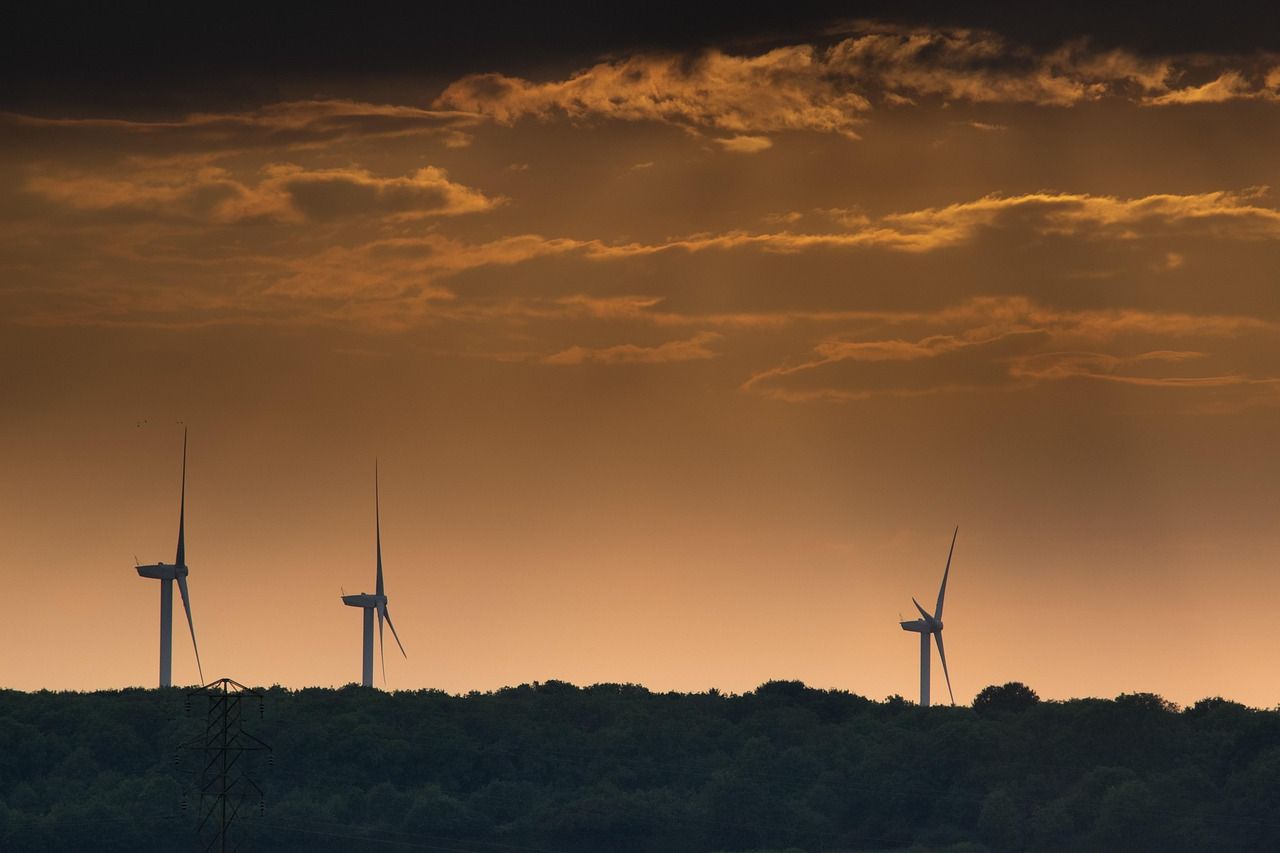 découvrez les ressources renouvelables, leur importance dans la transition énergétique et comment elles contribuent à un avenir durable. apprenez-en plus sur l'énergie solaire, éolienne et d'autres sources respectueuses de l'environnement.