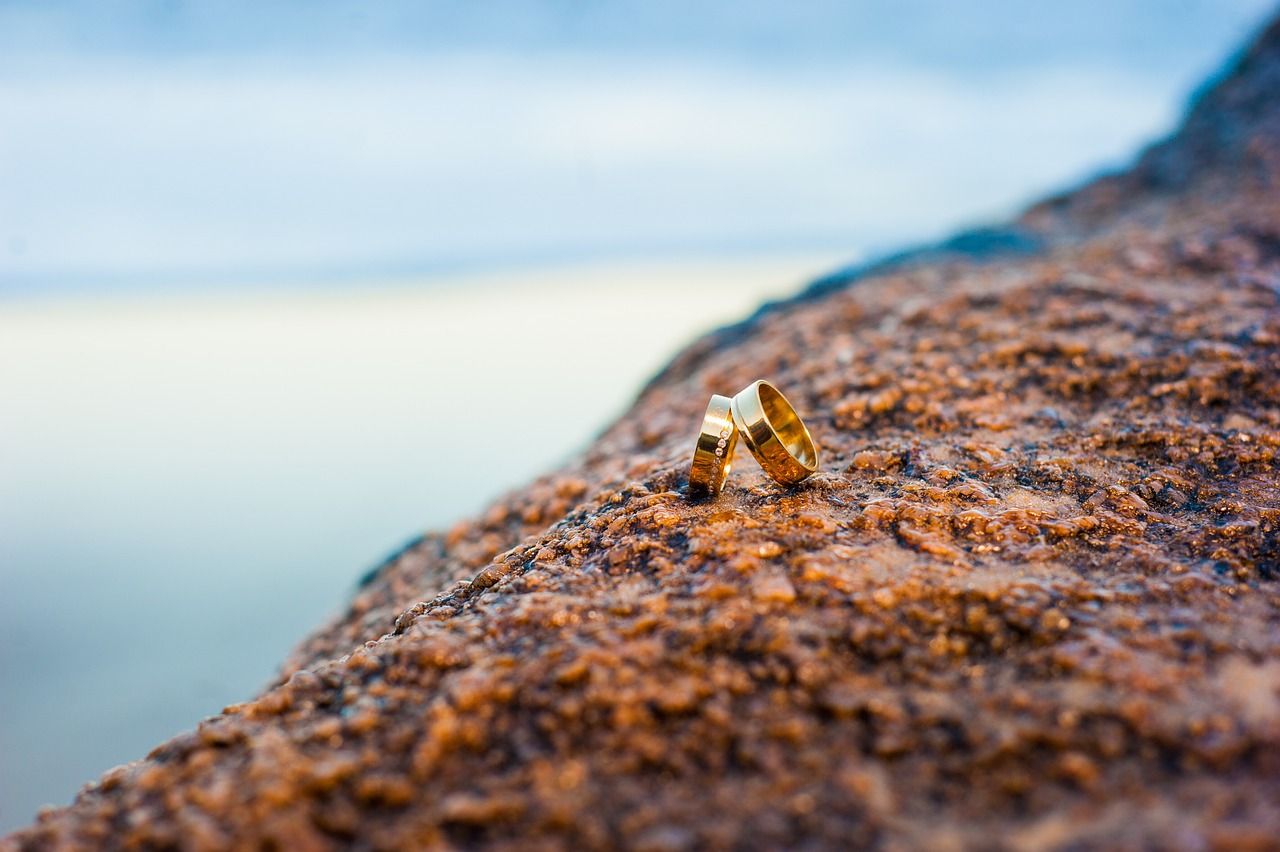 découvrez ocean alliance, une initiative engagée pour la préservation des mers et des océans. rejoignez-nous dans notre mission de protéger la biodiversité marine et de promouvoir des pratiques durables pour un avenir meilleur.