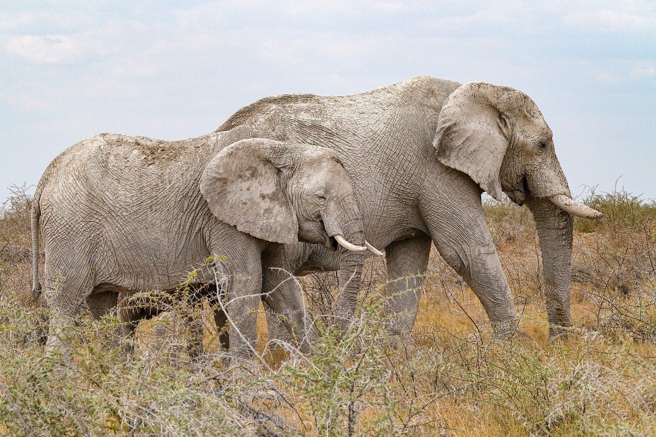découvrez les meilleures méthodes de conservation pour préserver vos aliments, objets ou documents dans les meilleures conditions et prolonger leur durée de vie.