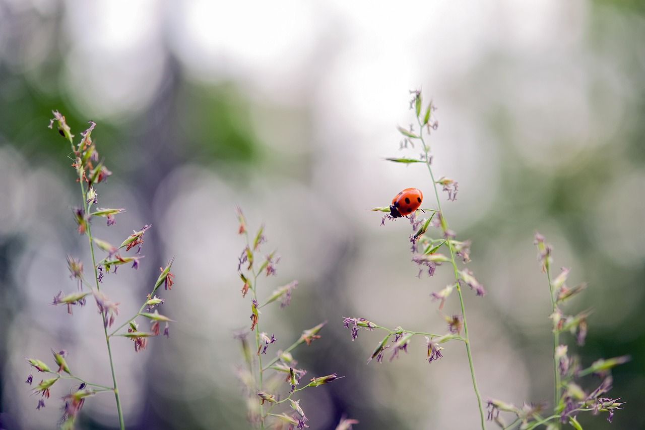 découvrez comment la jeunesse s'engage dans la protection de l'environnement pour un avenir durable et respectueux de la planète.