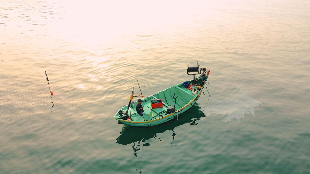 découvrez les pratiques de la pêche durable qui préservent nos océans tout en garantissant la sécurité alimentaire. engagez-vous pour une pêche responsable et respectueuse de l'environnement.