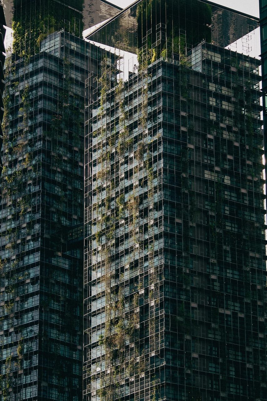 découvrez les meilleures pratiques de jardinage durable pour créer un espace vert respectueux de l'environnement, favoriser la biodiversité et économiser les ressources naturelles.