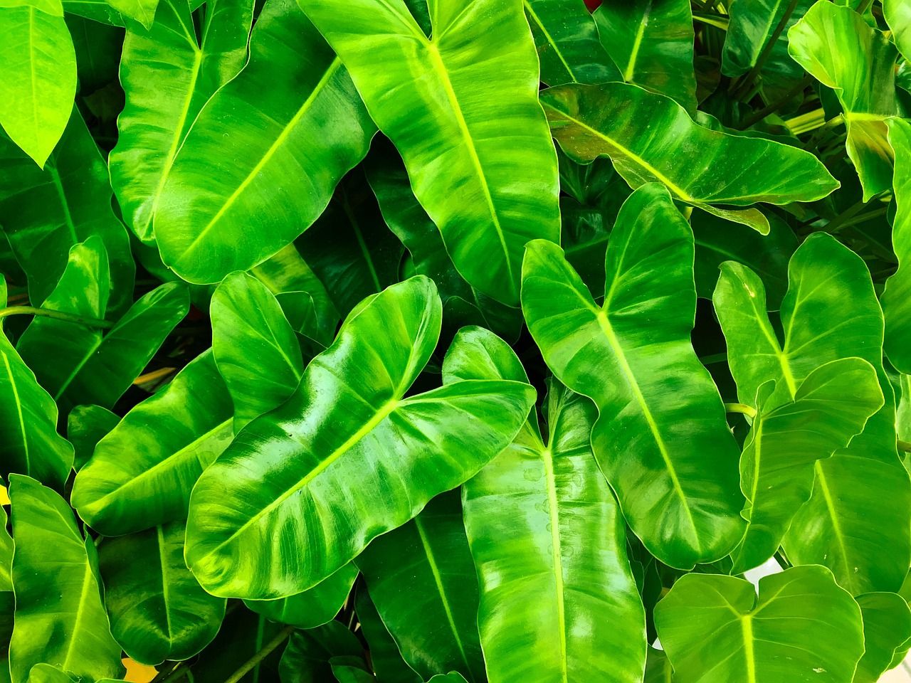 découvrez les principes fondamentaux de l'éthique environnementale, une discipline qui examine notre devoir moral envers la nature et les êtres vivants. explorez comment nos actions affectent l'écosystème et apprenez à promouvoir un développement durable pour préserver notre planète pour les générations futures.