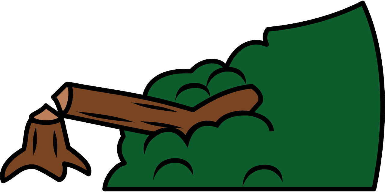 découvrez les politiques de déforestation et leur impact sur l'environnement. apprenez les mesures prises pour protéger nos forêts et favoriser un développement durable.