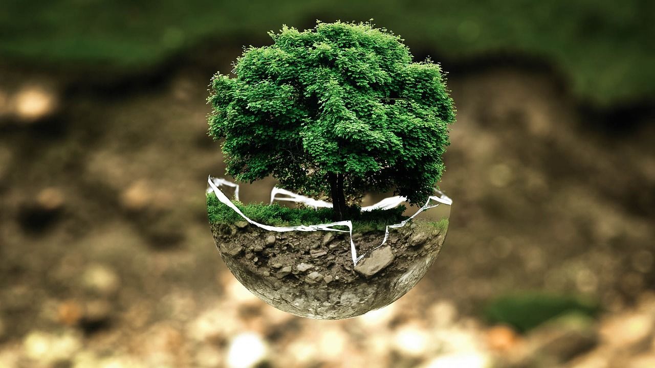 découvrez l'essentiel du droit de l'environnement : principes, réglementations et enjeux juridiques liés à la protection de la nature, la gestion des ressources et la lutte contre la pollution.