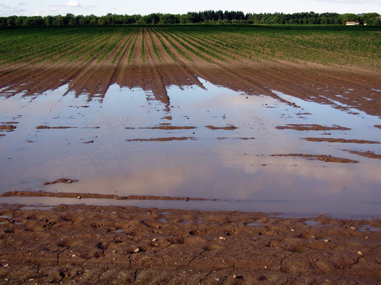 découvrez les causes, les conséquences et les mesures de prévention liées aux inondations. apprenez comment se protéger et réagir face à ce phénomène naturel, tout en explorant les impacts sur l'environnement et les communautés.