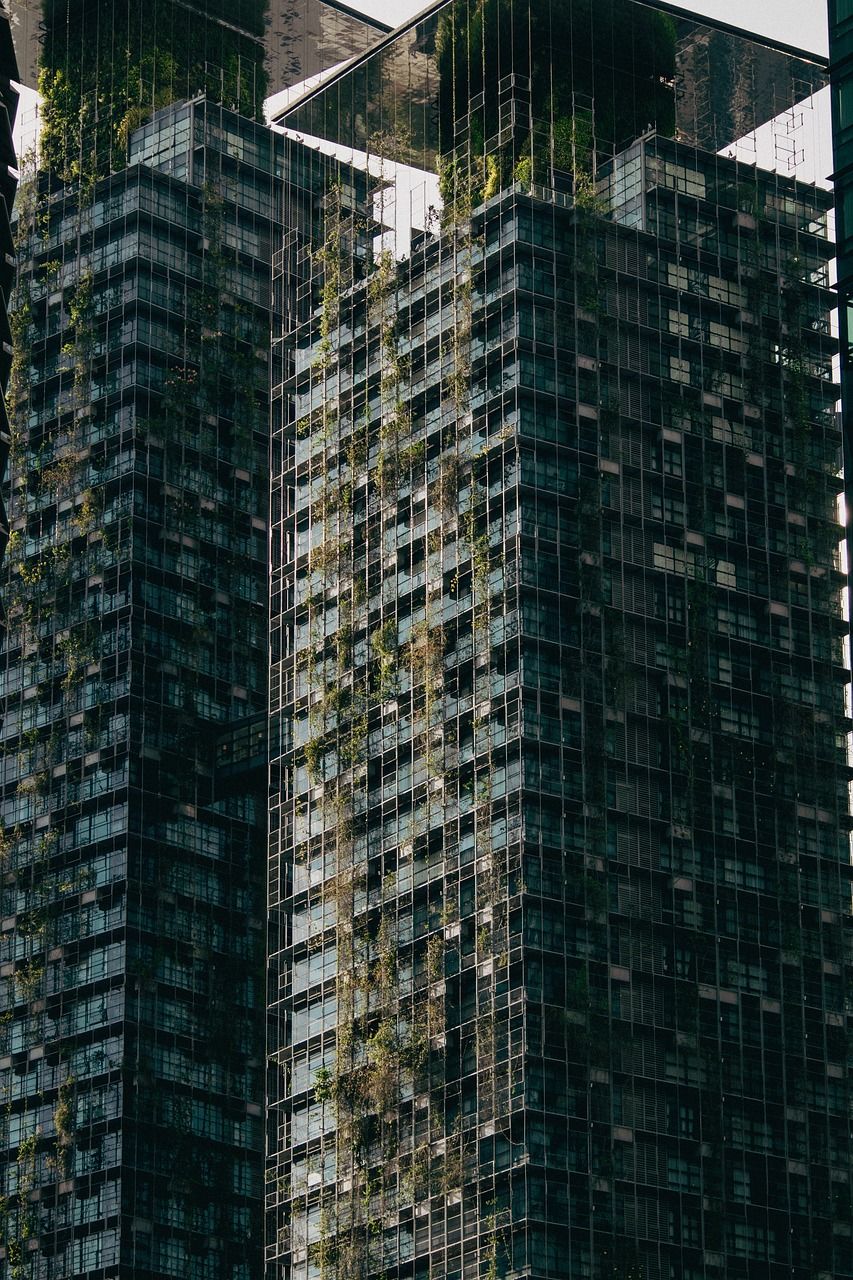 découvrez l'importance de la durabilité dans notre société moderne. explorez des pratiques durables et des solutions innovantes qui favorisent un avenir plus écologique et responsable.