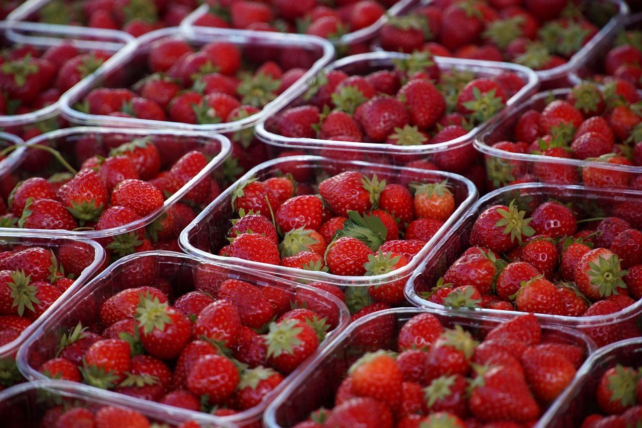 découvrez l'agriculture durable, une approche innovante qui préserve les ressources naturelles tout en maximisant la productivité. apprenez comment cette pratique enhance la biodiversité, réduit l'impact environnemental et assure la sécurité alimentaire pour les générations futures.