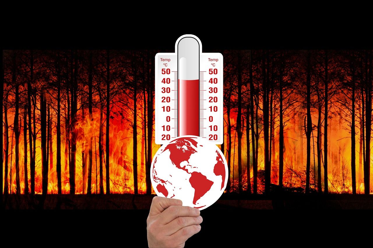 découvrez les causes, les conséquences et les solutions au changement climatique. informez-vous sur l'impact des activités humaines sur la planète et les actions possibles pour préserver notre environnement.