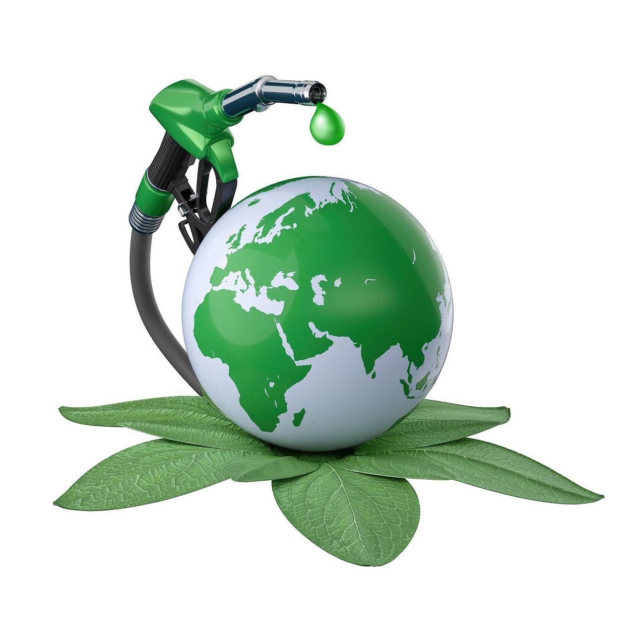 découvrez l'importance des ressources environnementales et leur impact sur notre planète. apprenez comment préserver ces précieuses ressources pour un avenir durable et explorez les initiatives en matière de développement durable.
