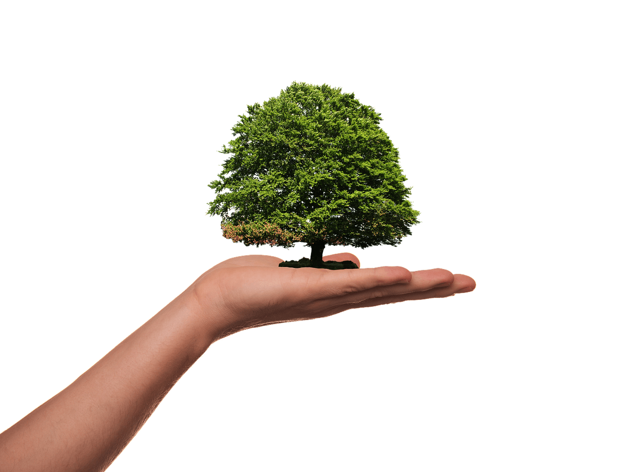 découvrez comment sensibiliser le public aux enjeux climatiques, améliorer la conscience environnementale et adopter des pratiques durables pour un avenir meilleur.