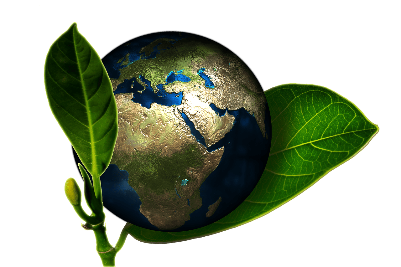 découvrez notre rapport environnemental complet qui analyse les impacts écologiques, les initiatives durables et les progrès réalisés pour protéger notre planète. un aperçu essentiel des enjeux environnementaux contemporains.