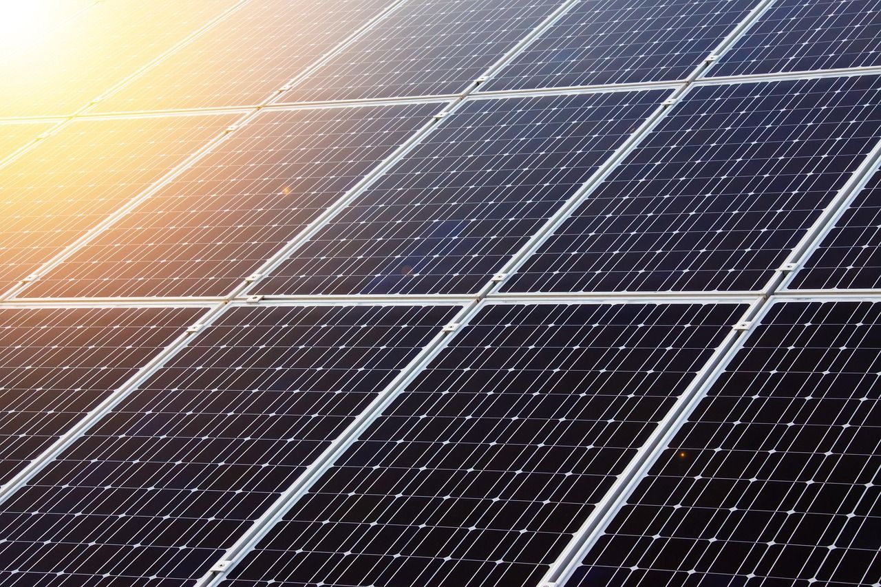 découvrez comment la technologie durable révolutionne notre avenir en alliant innovation, respect de l'environnement et solutions écologiques pour bâtir un monde plus responsable.