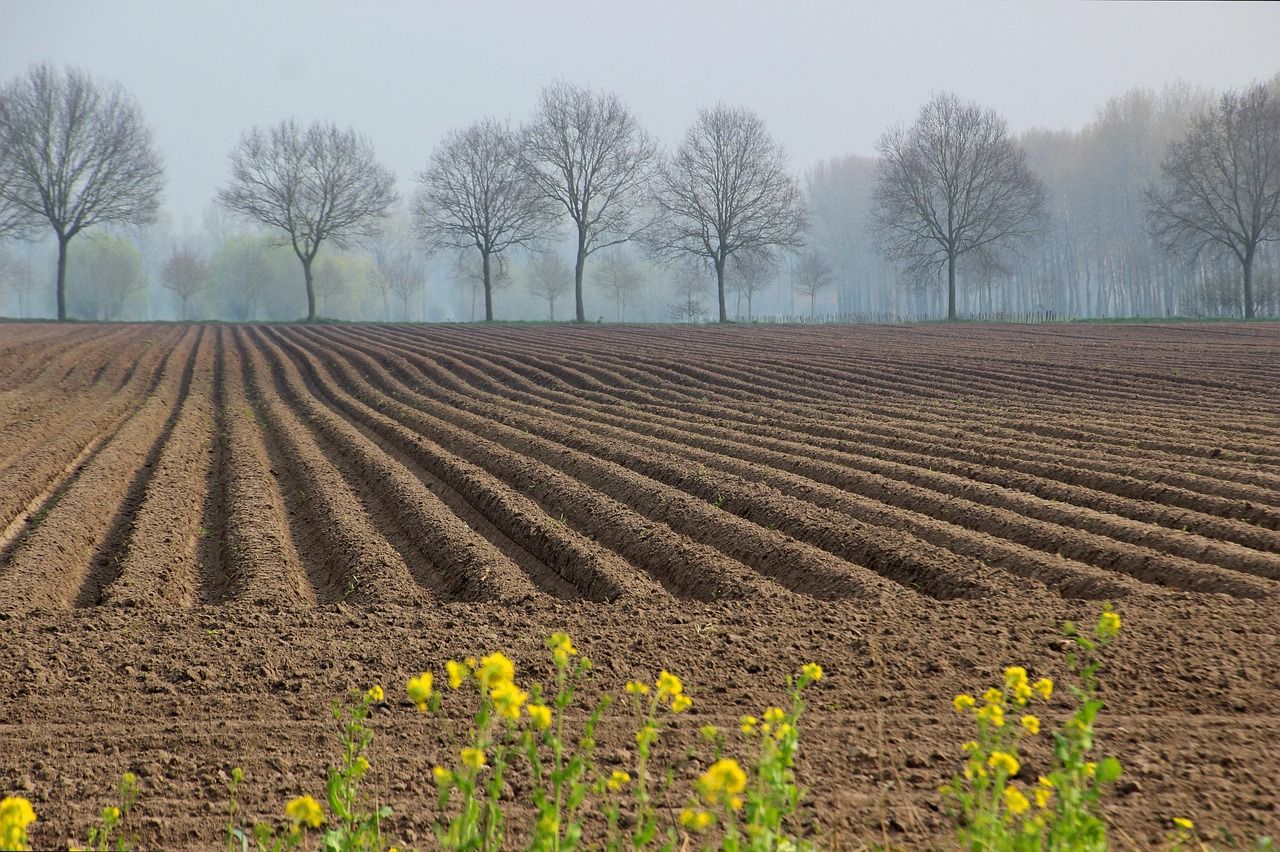 découvrez les essentielles stratégies et réglementations pour la protection des terres agricoles, garantissant la durabilité des ressources et la préservation de l'environnement. engagés pour un avenir agricole responsable.