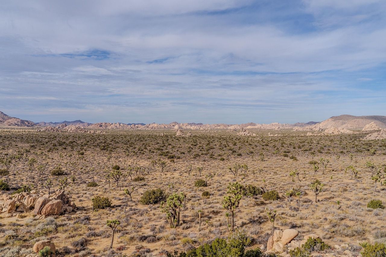 découvrez la beauté des paysages naturels à travers le monde : montagnes majestueuses, forêts luxuriantes, plages immaculées et vallées verdoyantes. plongez dans des expériences en plein air qui éveillent les sens et célèbrent la richesse de la nature.
