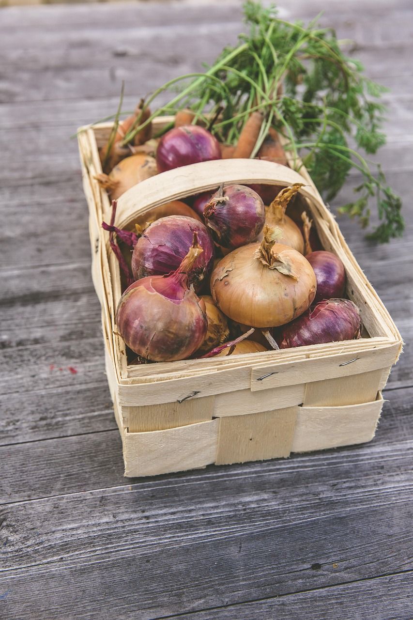 découvrez les meilleures pratiques pour un jardinage durable et respectueux de l'environnement, favorisant la biodiversité et la santé des sols.