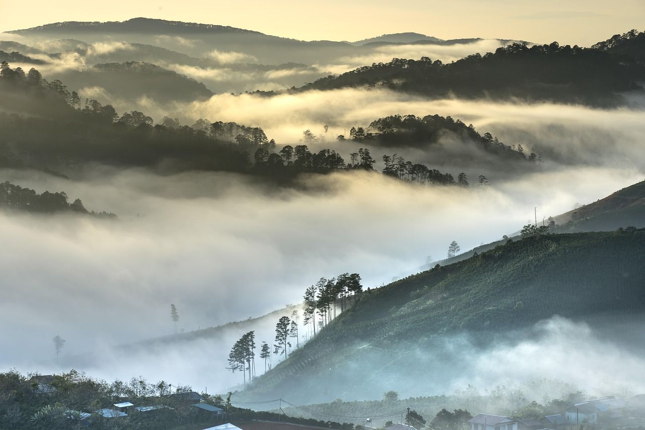 découvrez l'importance de l'environnement et les enjeux écologiques actuels. explorez des solutions durables pour protéger notre planète et assurons un avenir sain pour les générations futures.
