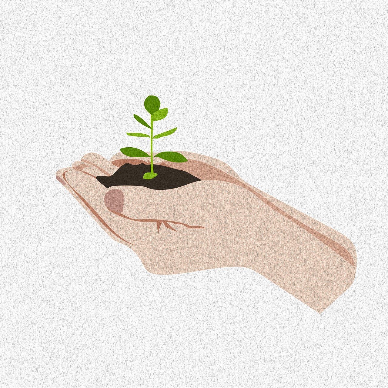 découvrez les méthodes efficaces de conservation des sols pour préserver la fertilité, prévenir l'érosion et protéger l'environnement agricole.