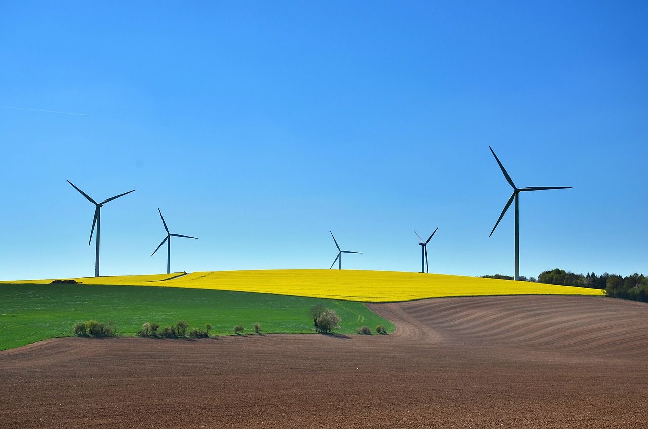 découvrez l'agriculture durable, une approche respectueuse de l'environnement qui allie production alimentaire et préservation des ressources naturelles. apprenez comment cette méthode contribue à la santé des écosystèmes tout en soutenant les agriculteurs et en répondant aux besoins alimentaires croissants.