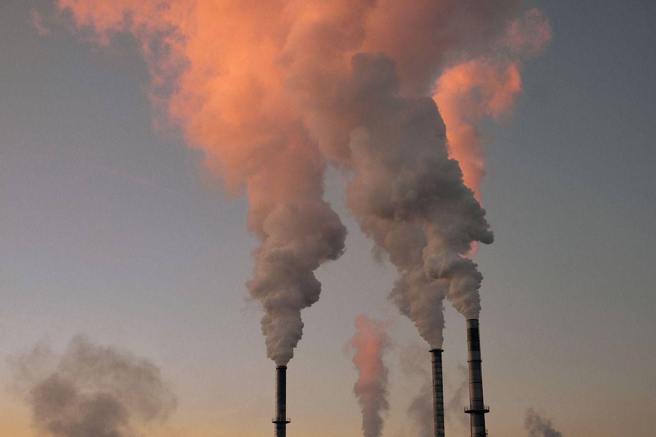 découvrez des informations essentielles sur l'environnement : actualités, enjeux écologiques, conseils pratiques et solutions durables pour protéger la planète.