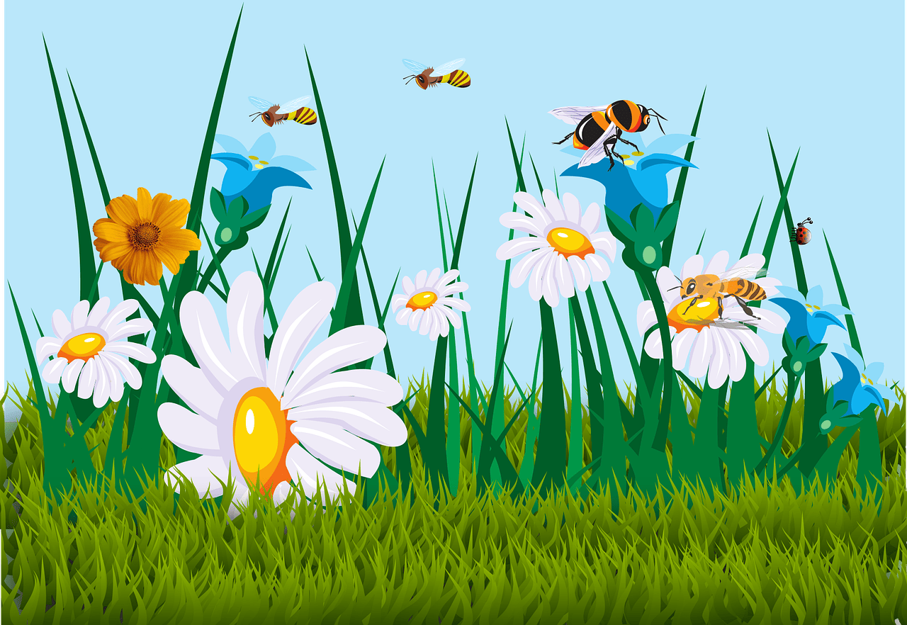 découvrez l'importance des écosystèmes et leur rôle vital dans la préservation de la biodiversité. explorez comment les interactions entre les organismes et leur environnement contribuent à l'équilibre de notre planète.