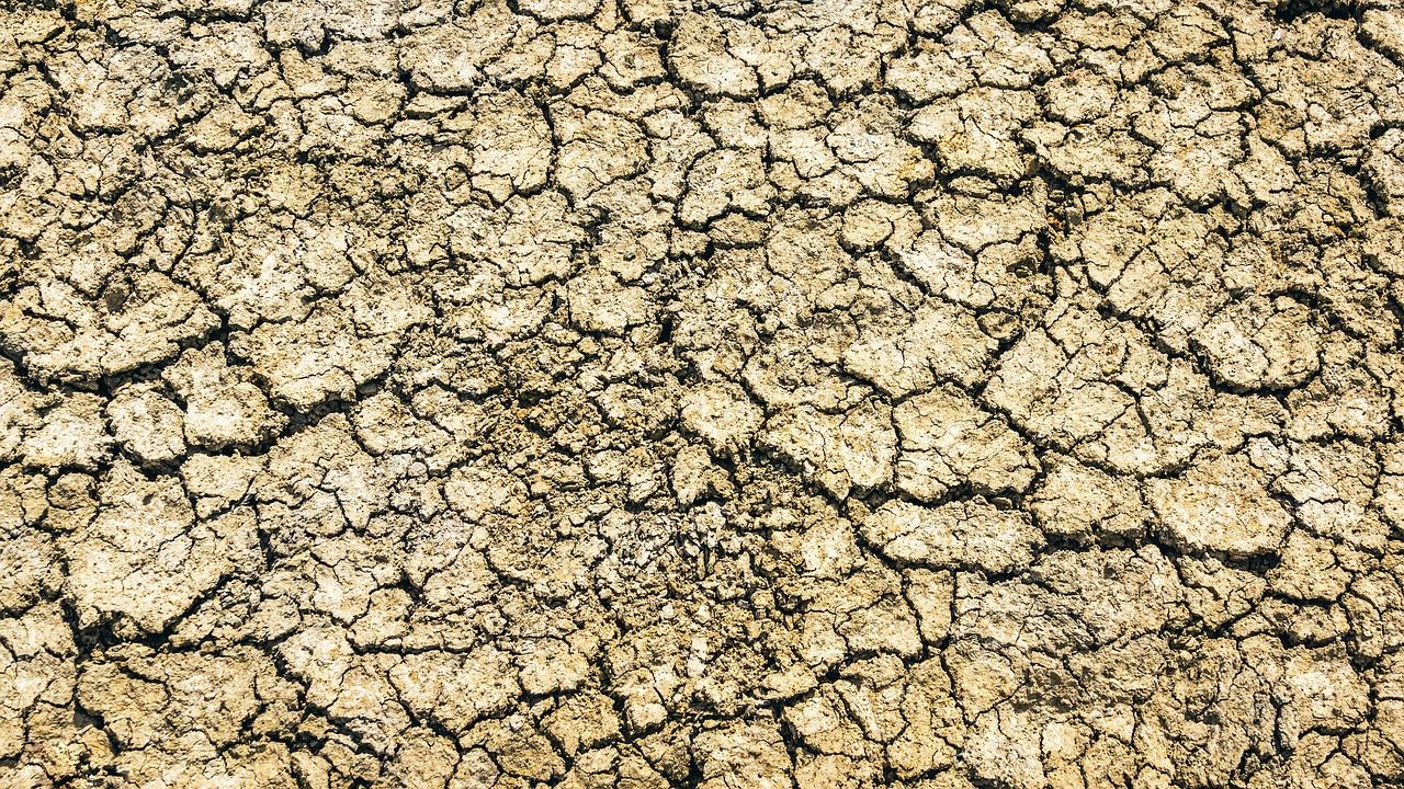 découvrez les causes, les impacts et les solutions à la pénurie d'eau, un enjeu majeur pour l'environnement et la société.