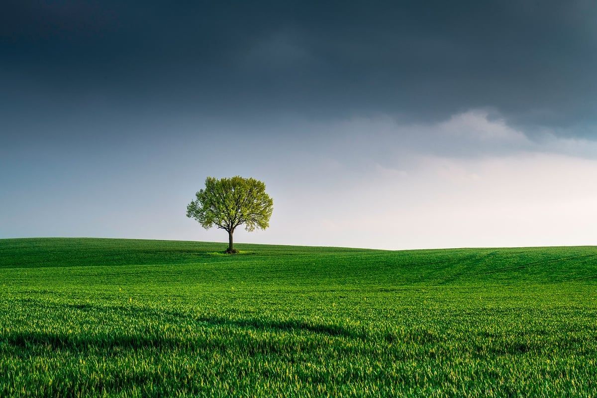 Climat : la Défenseure des droits s’engage à soutenir les enfants dans leur lutte pour un ‘environnement sain