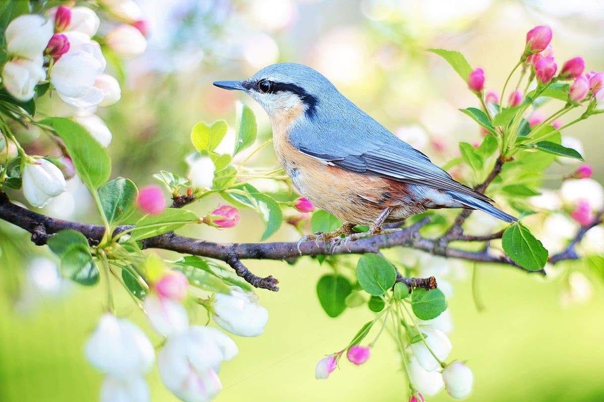 Service écosystémique : comprendre son importance pour la biodiversité et notre quotidien