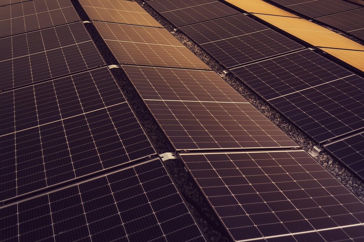 Énergie solaire : le Rassemblement national présente une loi pour ralentir l’expansion du photovoltaïque