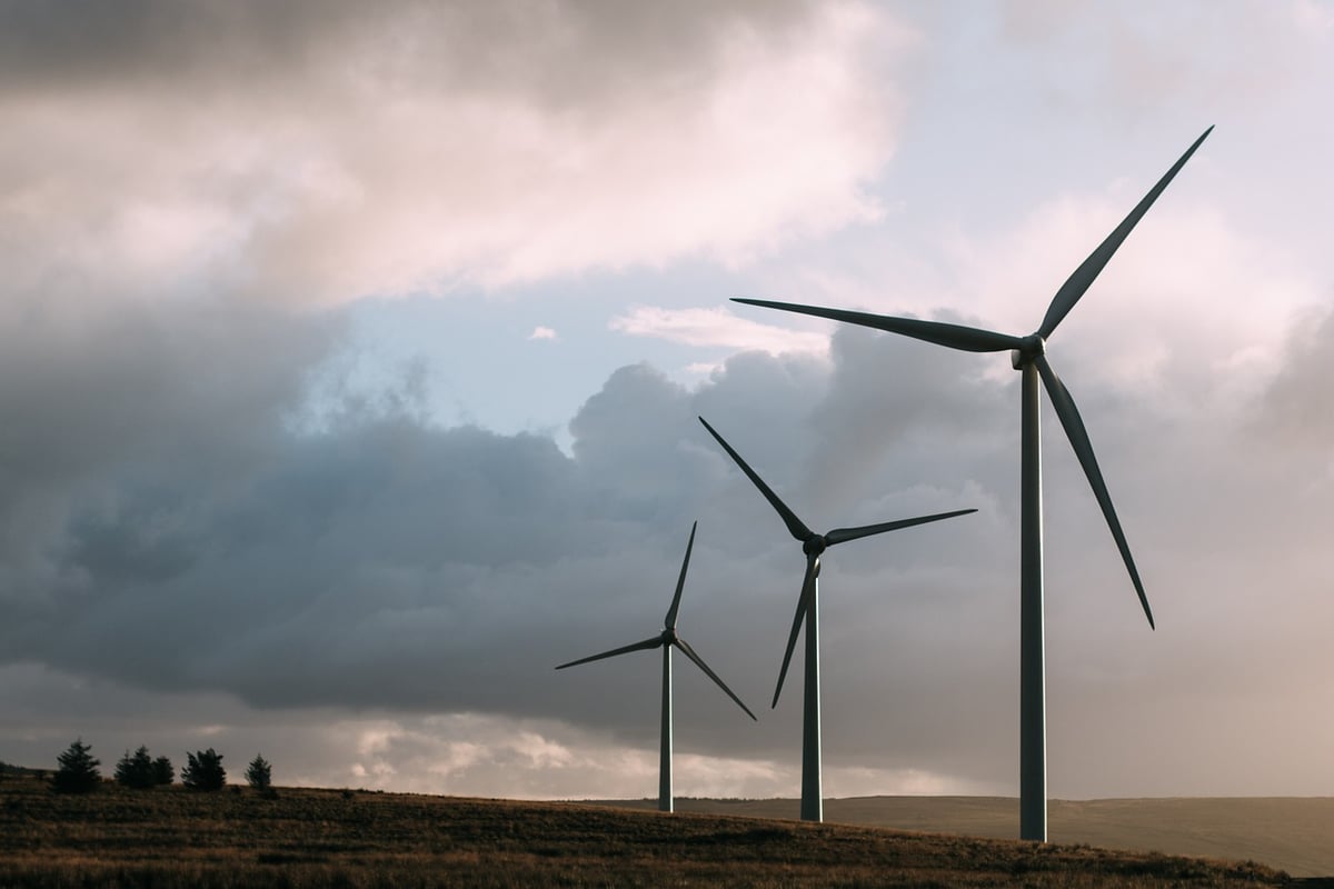 Éoliennes Offshore : Analyse des Effets sur les Écosystèmes Marins – Un Engagement pour la Protection du Climat