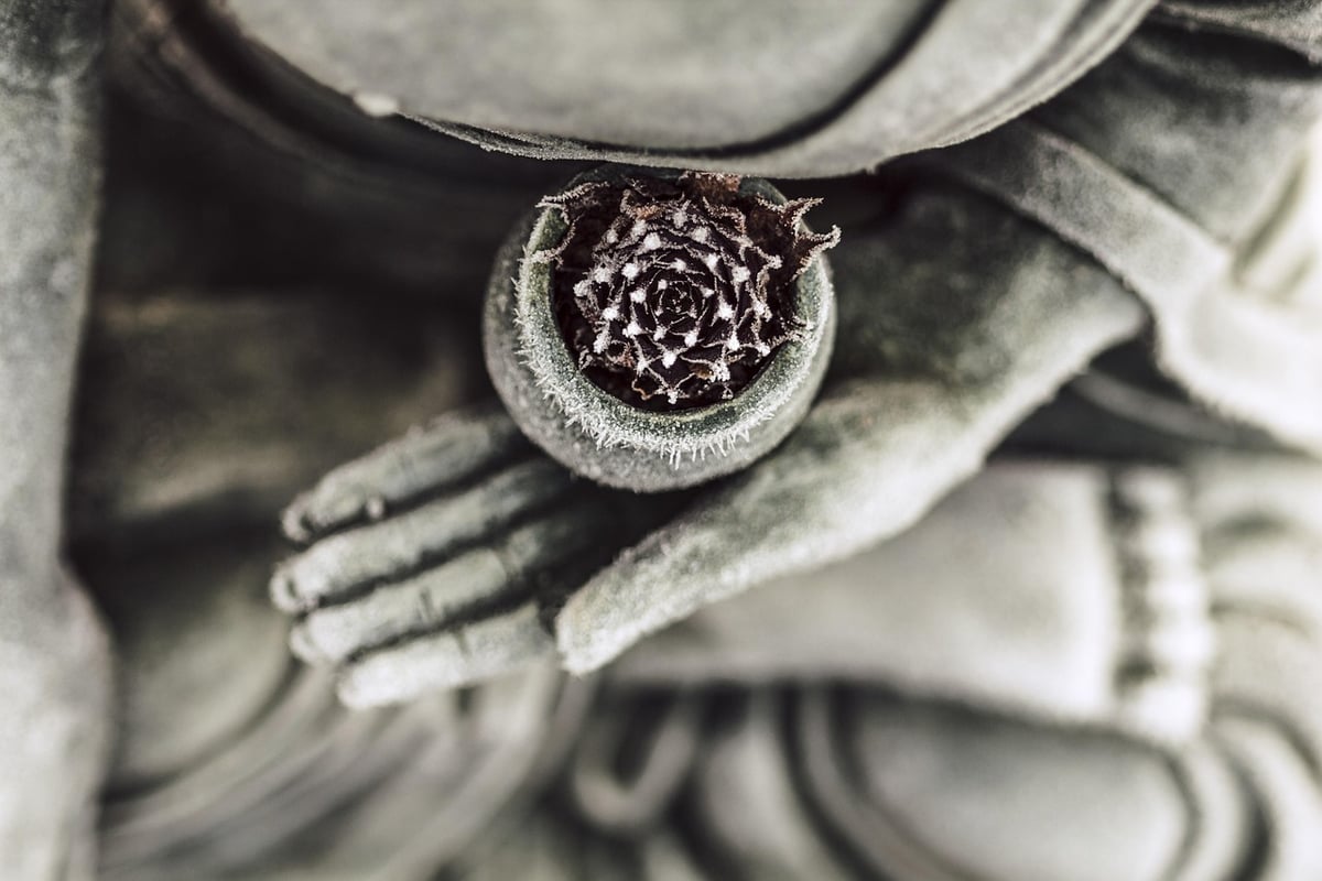 Culture de sensibilisation : Comprendre son importance dans notre société