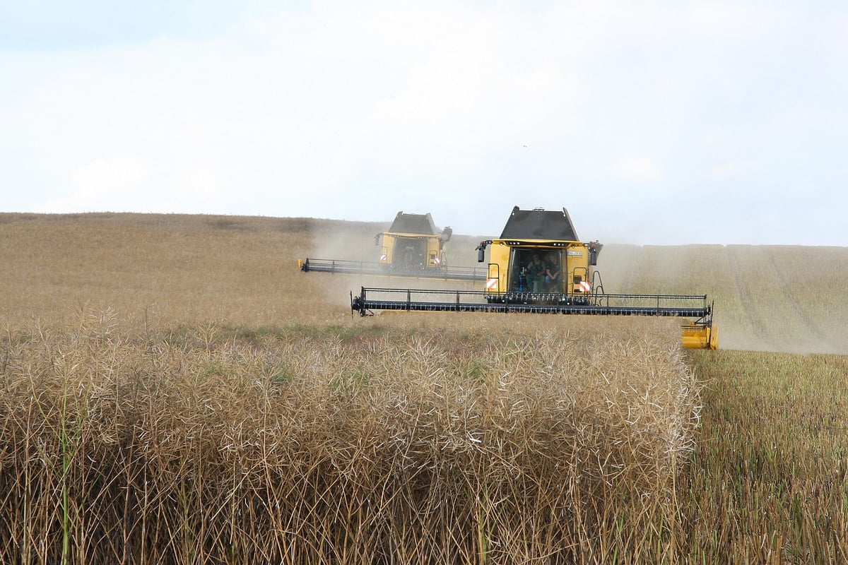 L’impact de l’agriculture intensive sur la biodiversité