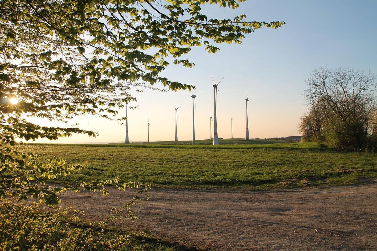 Technologies de conservation : Innover pour préserver notre patrimoine naturel