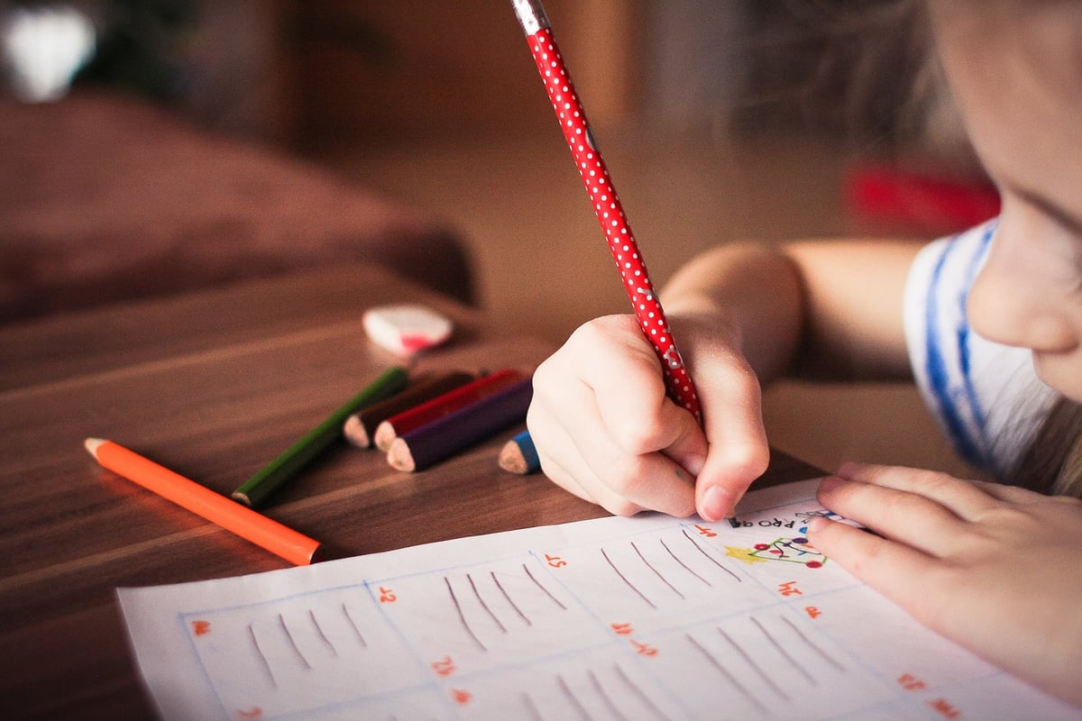 Climat : placer l’éducation au centre de la transition écologique