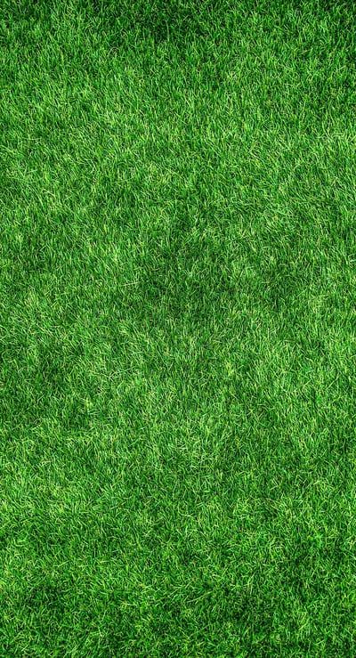 Isolation thermique écologique : solutions durables pour un habitat sain et économe