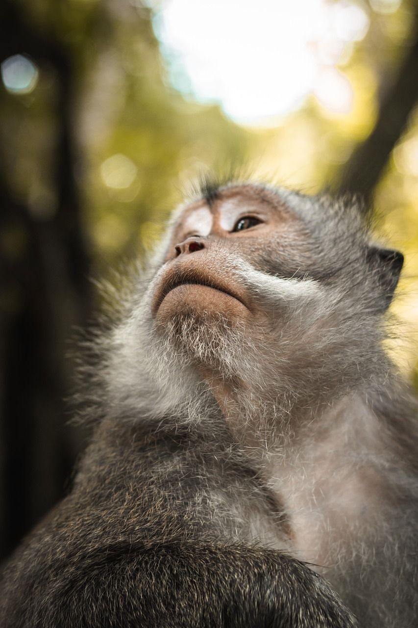 Les bénéfices économiques de la biodiversité