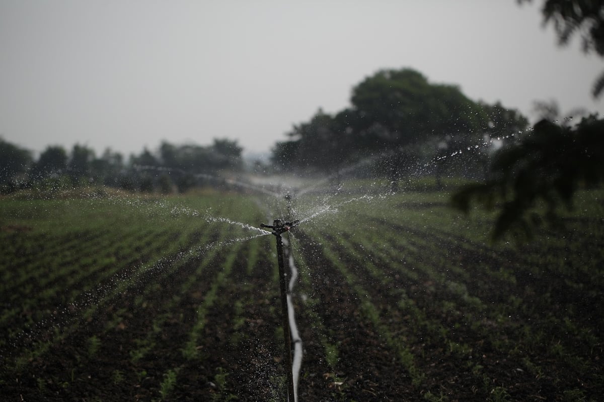 Nouvelles politiques de l’eau : vers une gestion durable des ressources hydriques