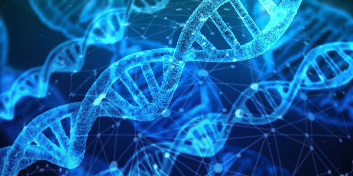 Biotechnologie : Innovations et Avancées Récentes dans le Secteur