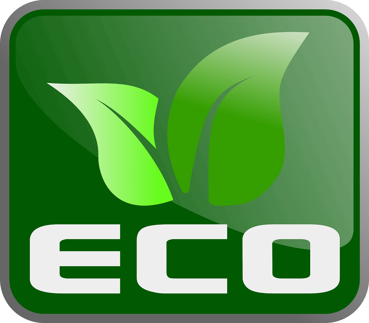 L’importance de l’économie verte pour un avenir durable