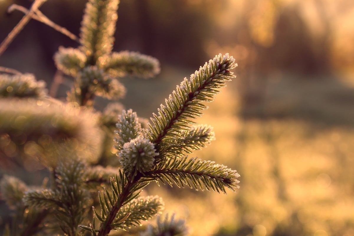 actions simples pour intégrer l’écologie dans votre enseignement