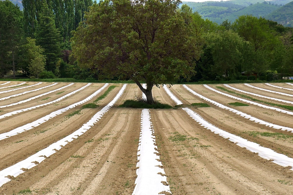 L’agroécologie pour préserver la biodiversité