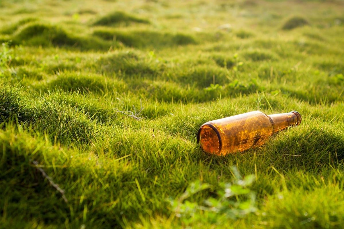 Communication environnementale : les clés pour sensibiliser efficacement
