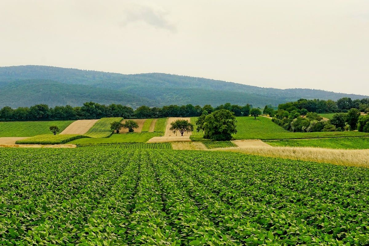 L’agriculture régénératrice : une solution durable pour l’avenir de nos terres