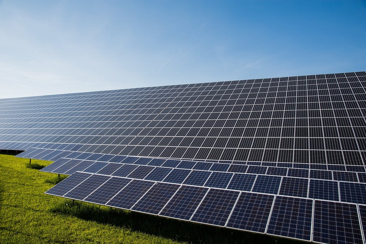 Transition écologique au quotidien : 5 actions simples pour changer la donne