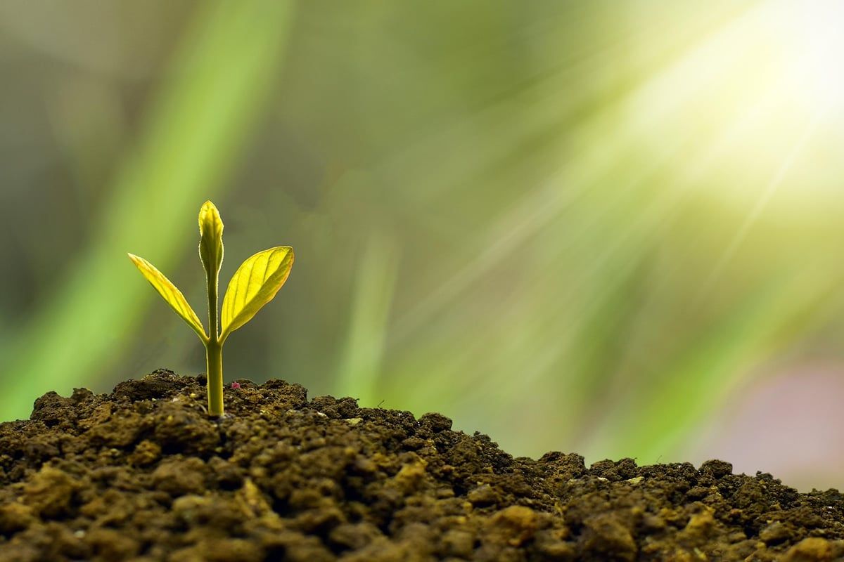 Durabilité en héritage : comment transmettre des valeurs écologiques à la prochaine génération