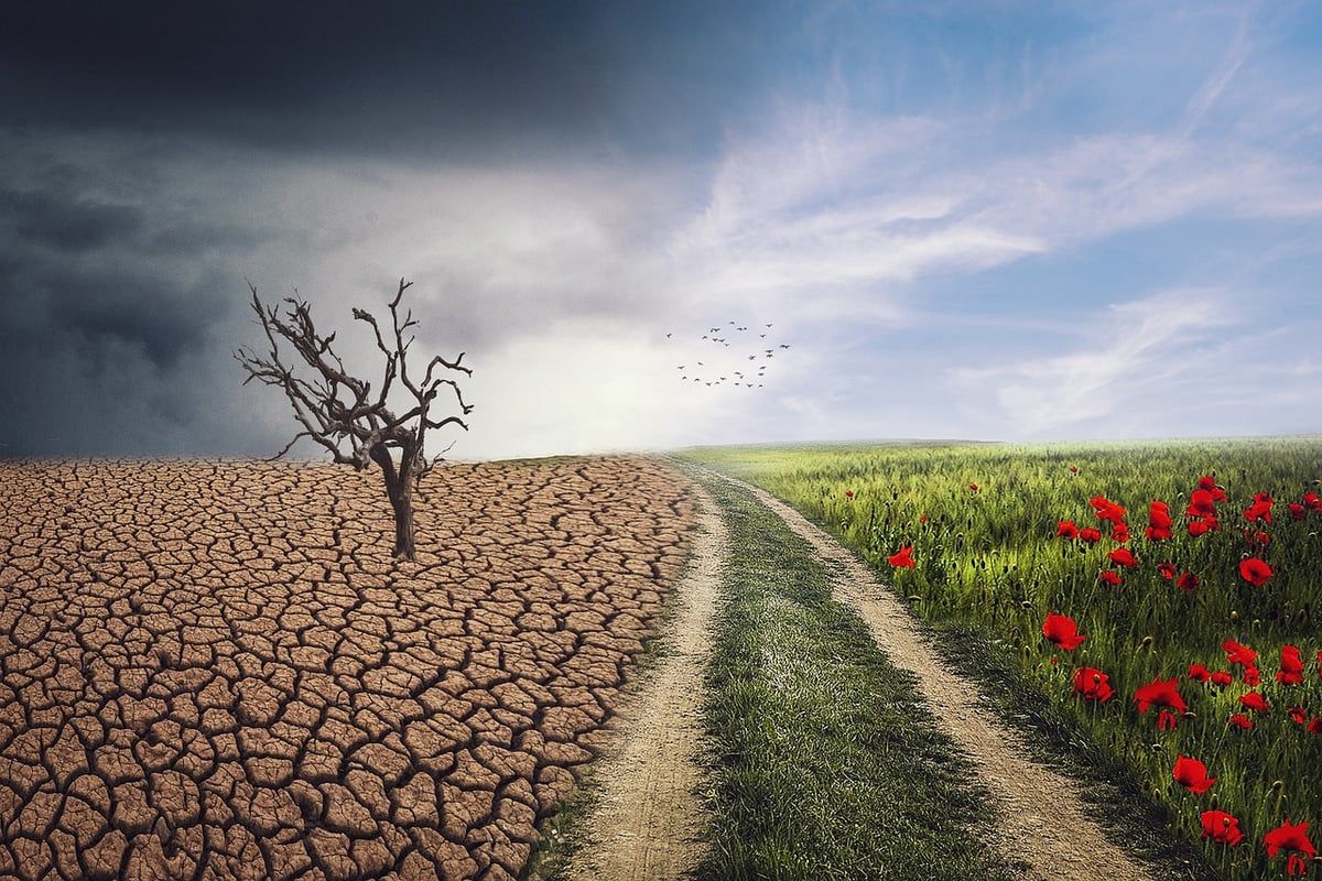 Comment sensibiliser les jeunes au changement climatique ?
