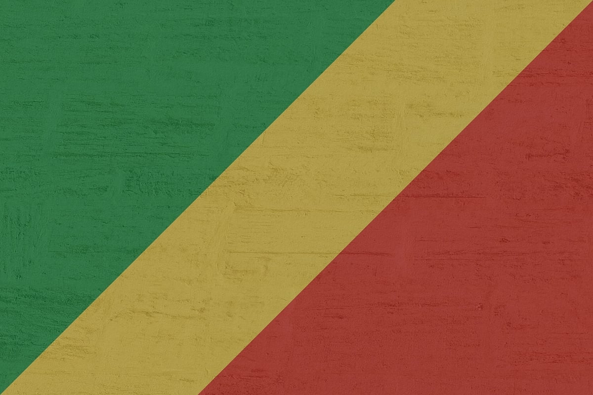 Les forêts du Bassin du Congo : un trésor mondial à sauvegarder à la croisée des enjeux environnementaux et sociétaux